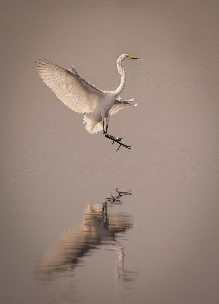 Graceful landing
