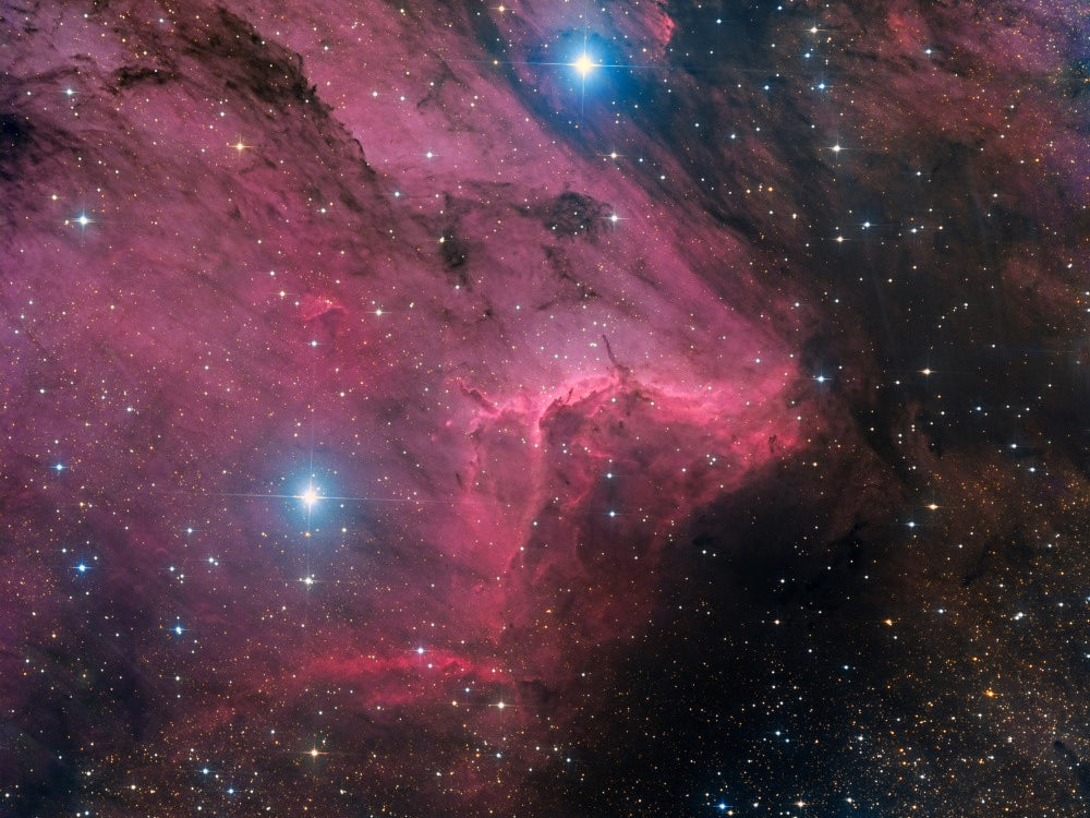Pelican nebula