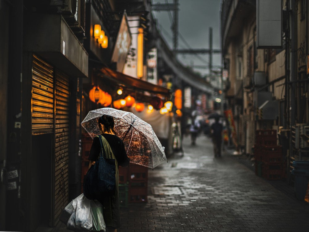 Ueno Curve