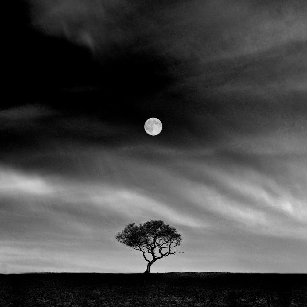 Histoires sous la Lune (N°5)