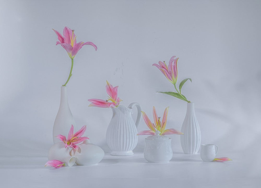 still life 57