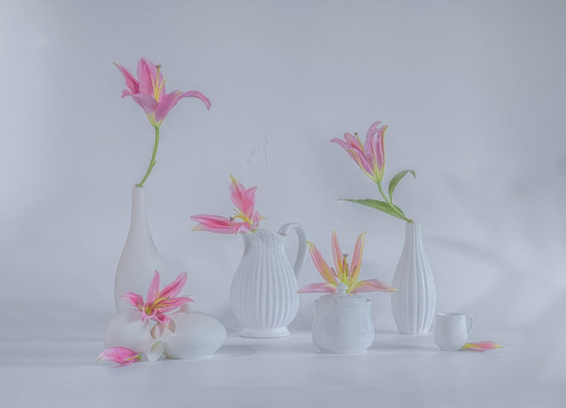 still life 57