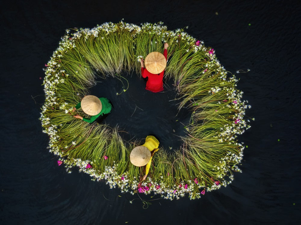 Flower pickers