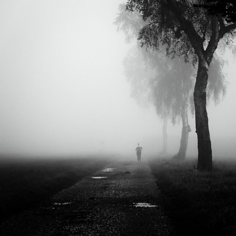 foggy morning