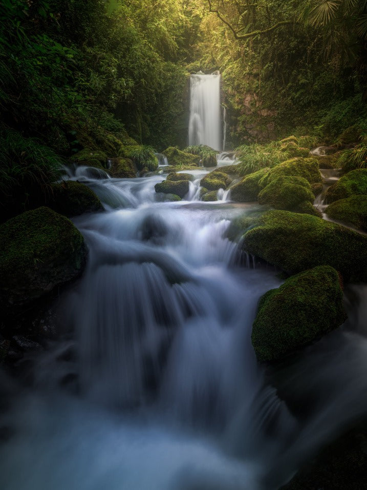 Autumn light is like water