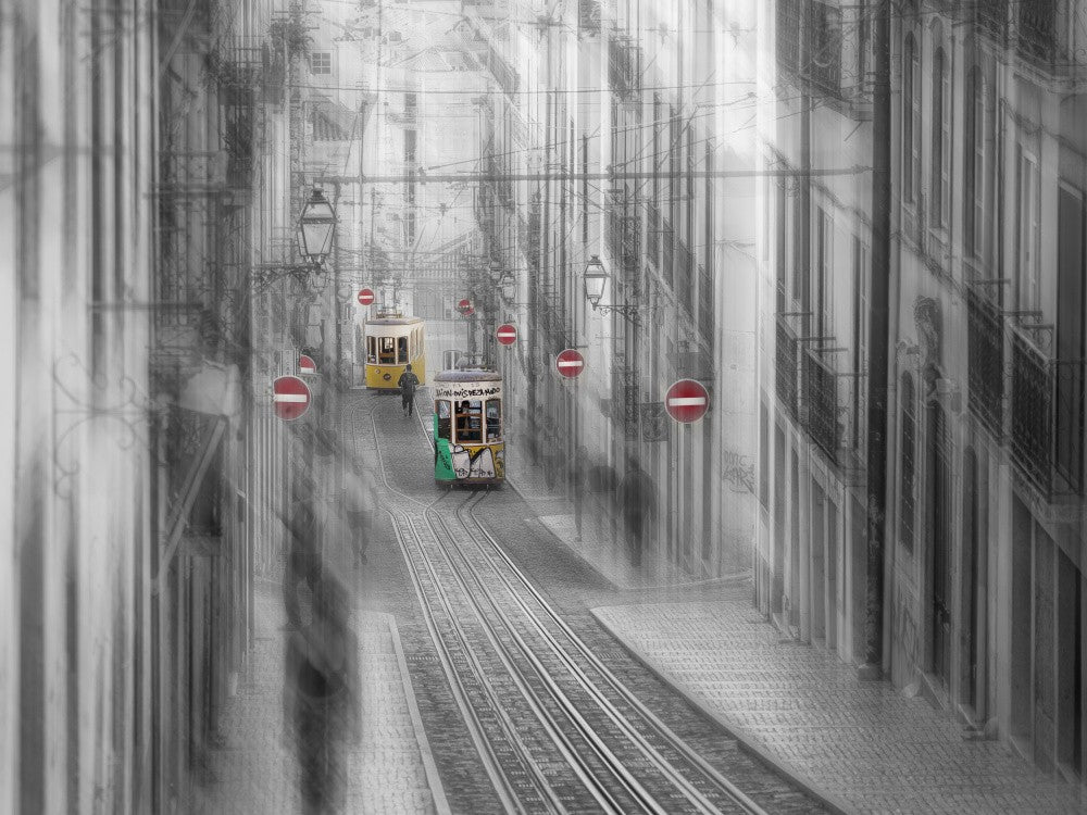 trams