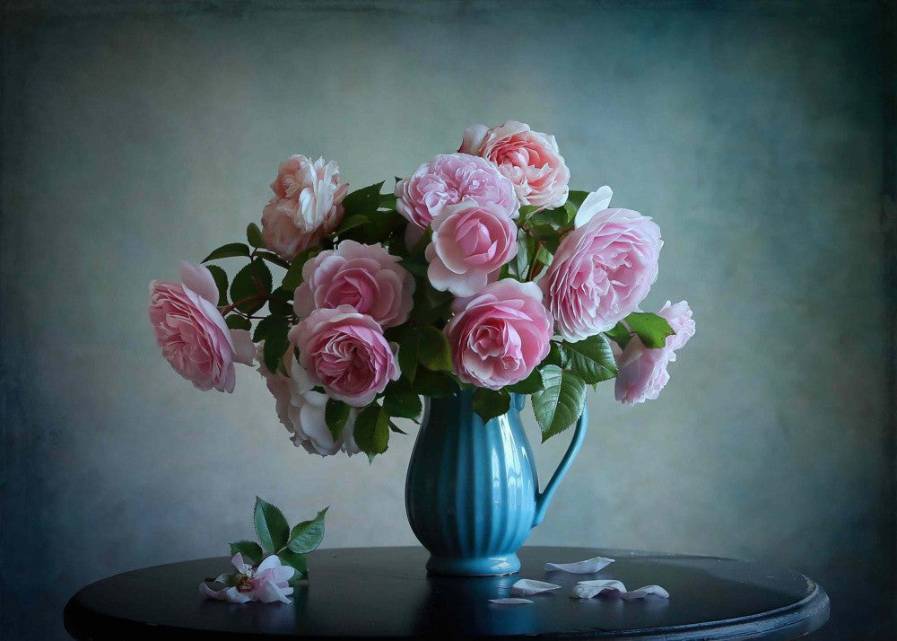 Pink Rose