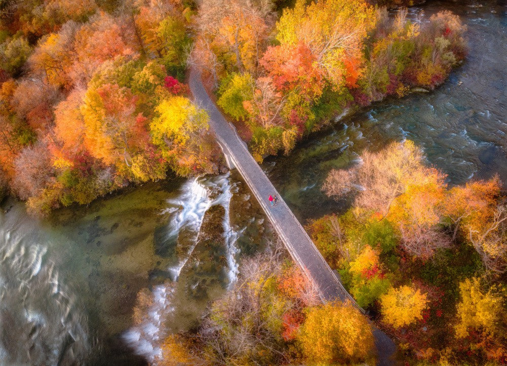 Autumn Bridge