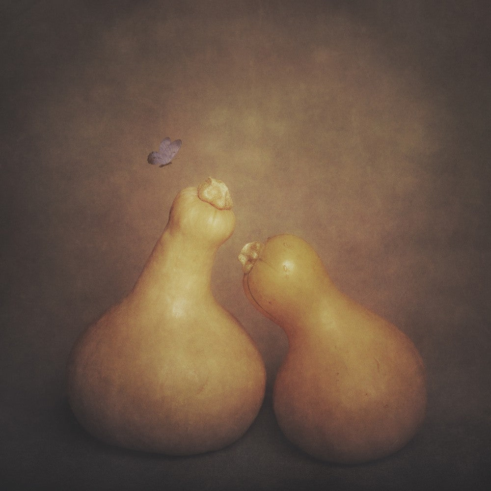 Gourds