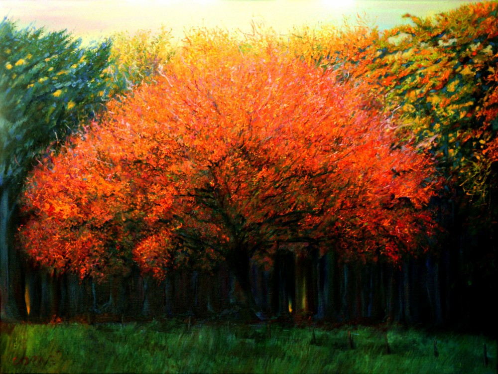 Autumn Tree at Laren (2013)