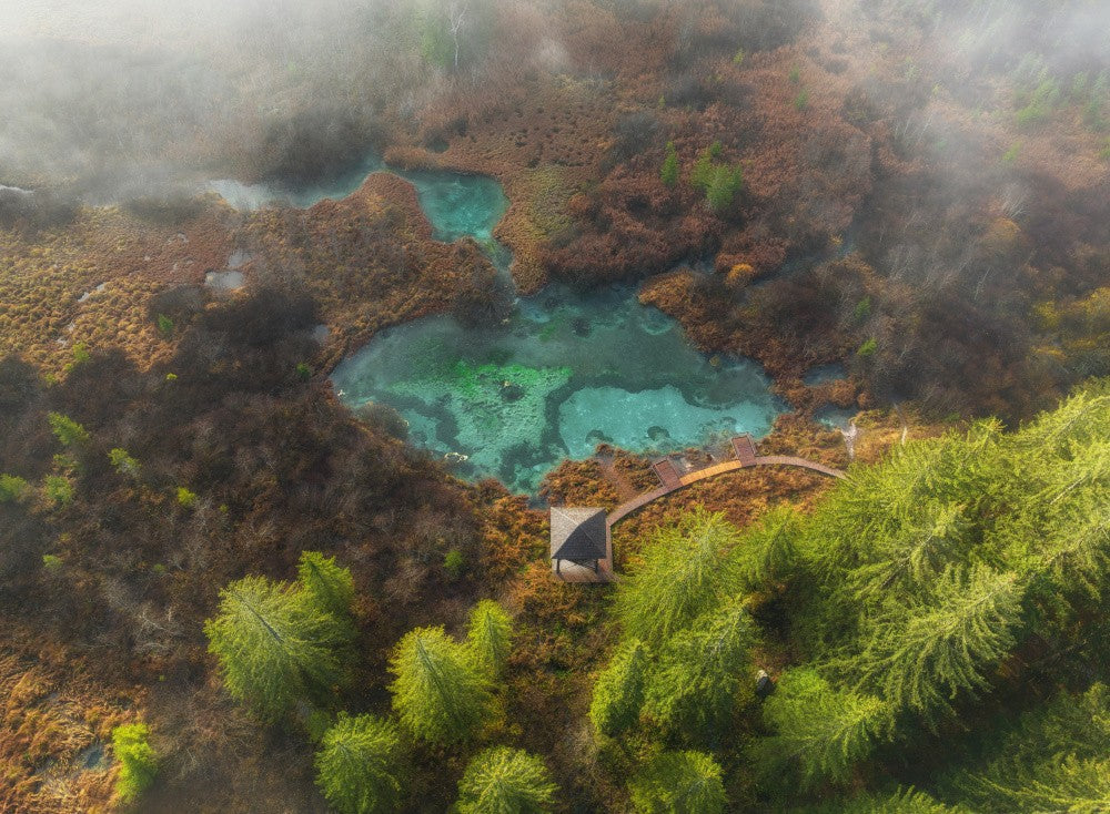 Zelenci springs