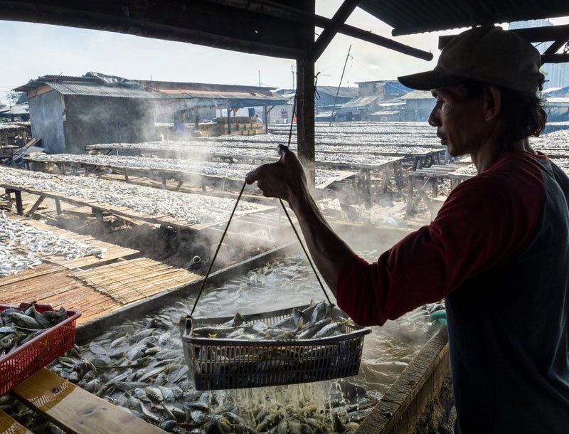 Salty fish Worker