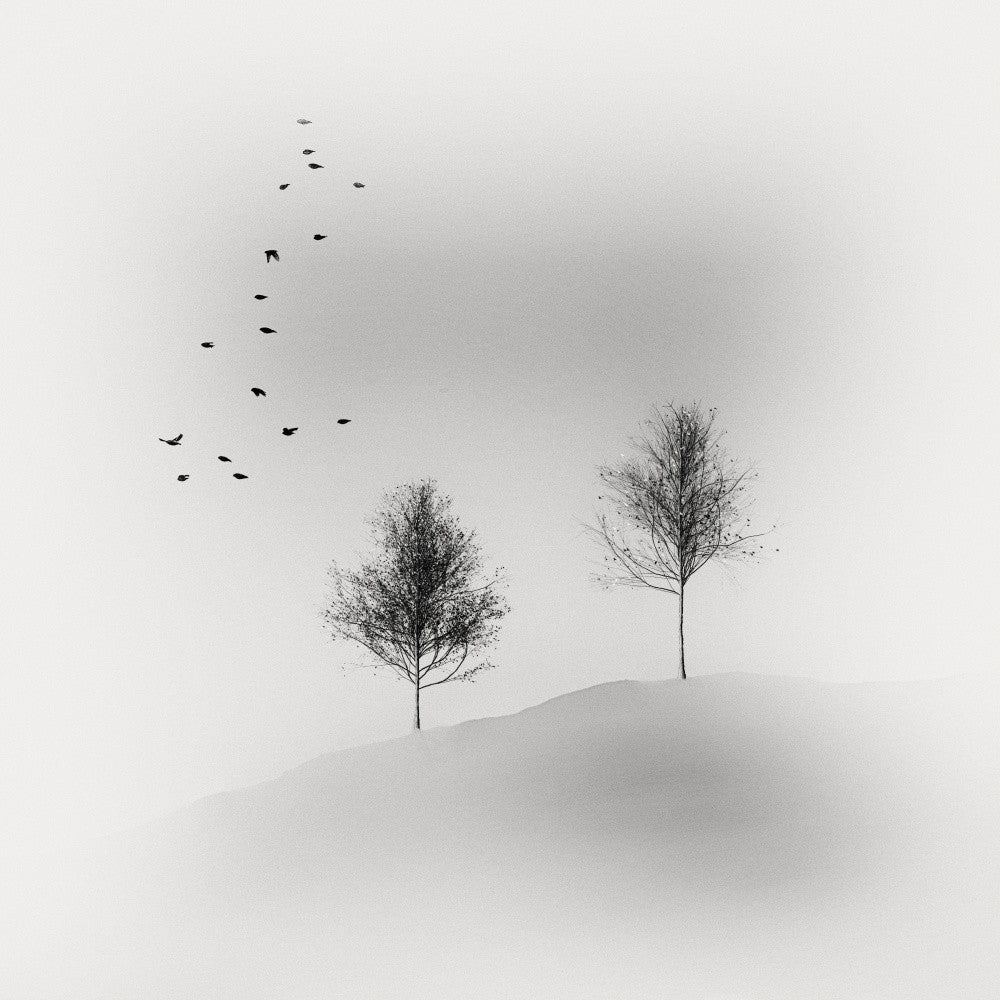 Simplicity