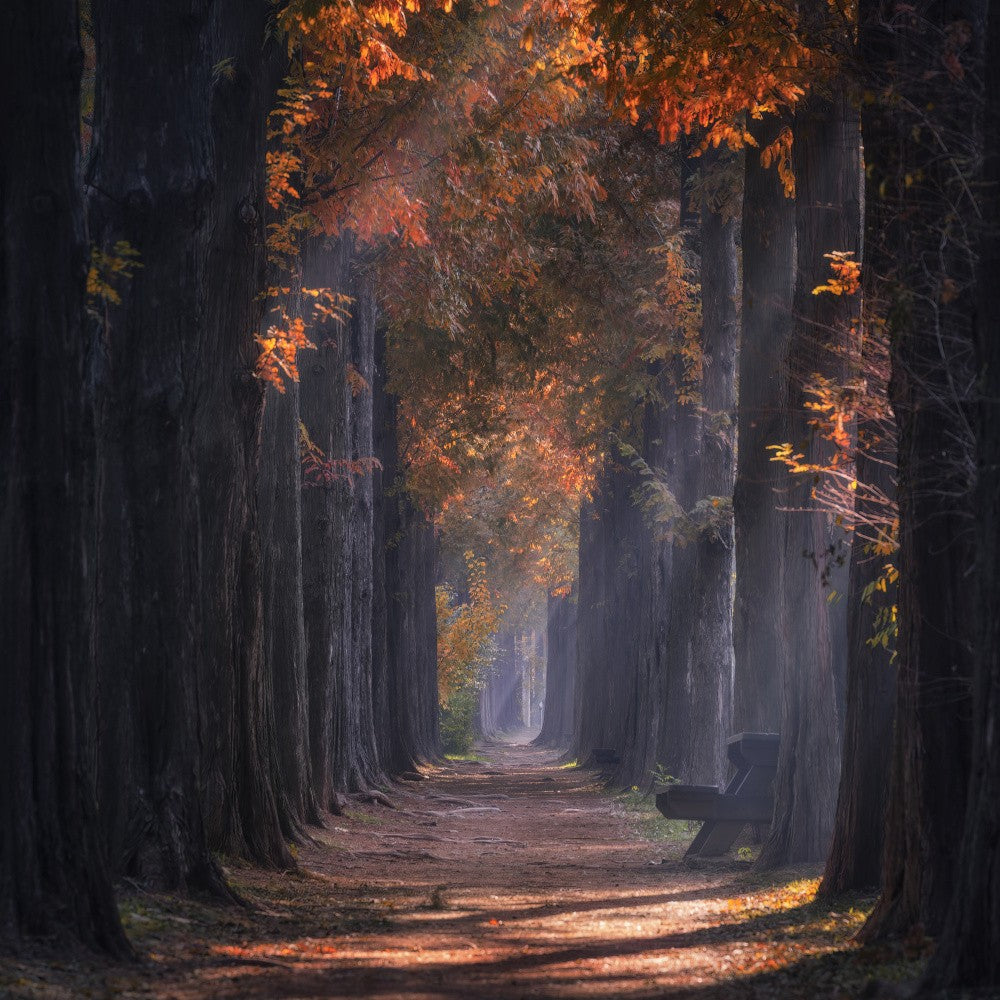 Sonnenstraßen