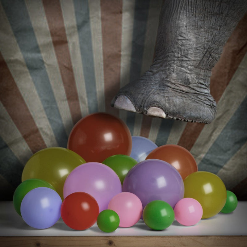 Still life 03