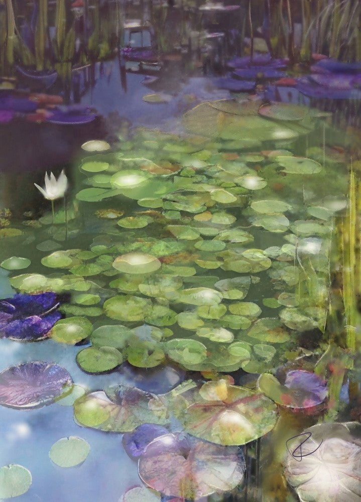 Lily Pad Pond