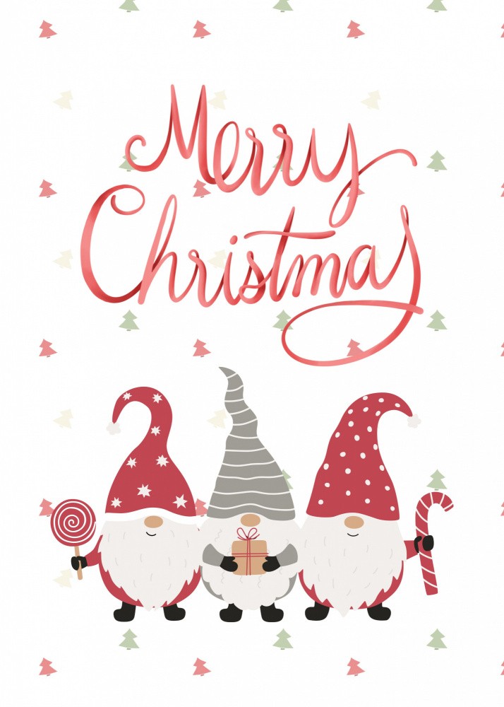 Merry Christmas Gnomes