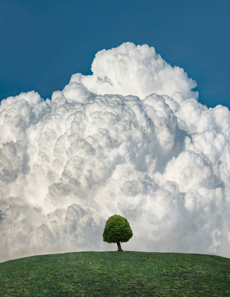 Up in the clouds