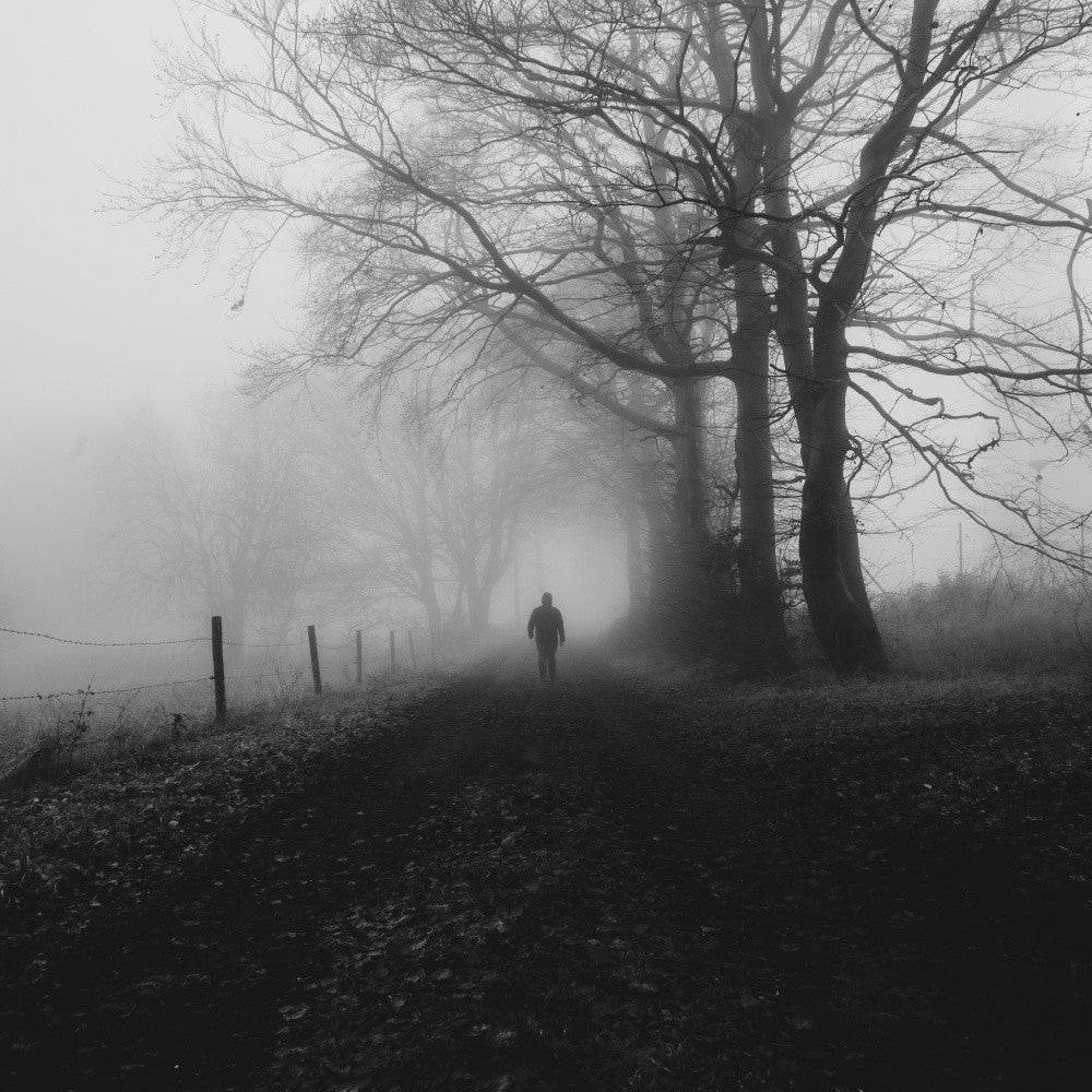 Dark autumn II