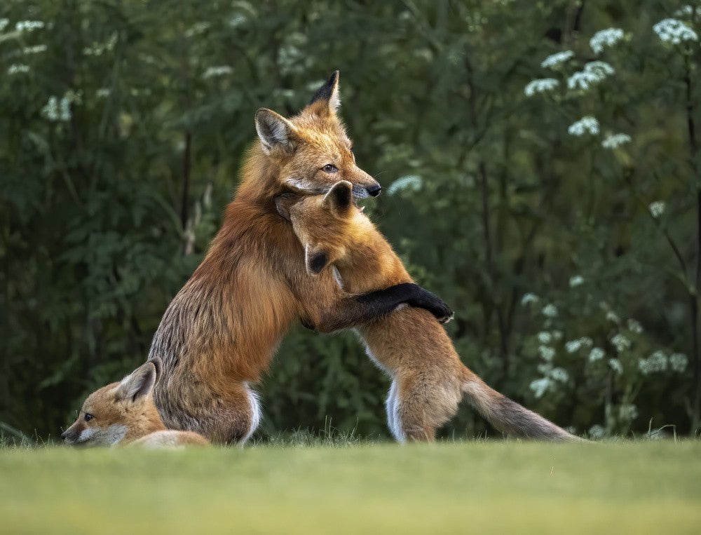 Sweet hug from mommy