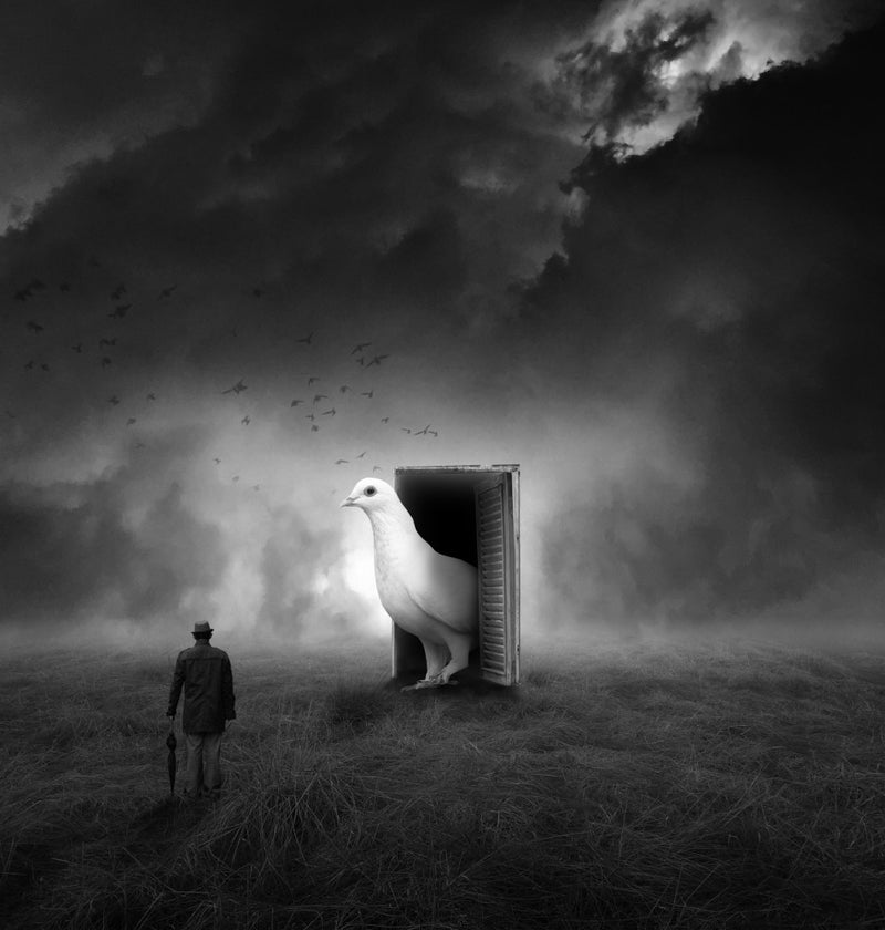 The Gate