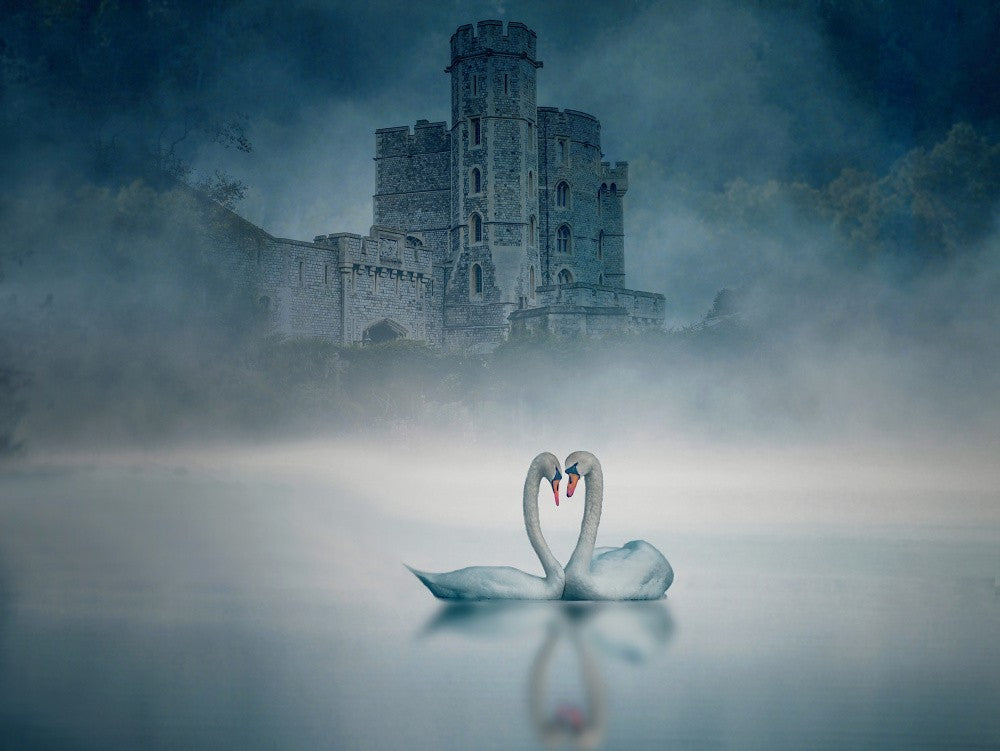 Windsor Castle and Swan