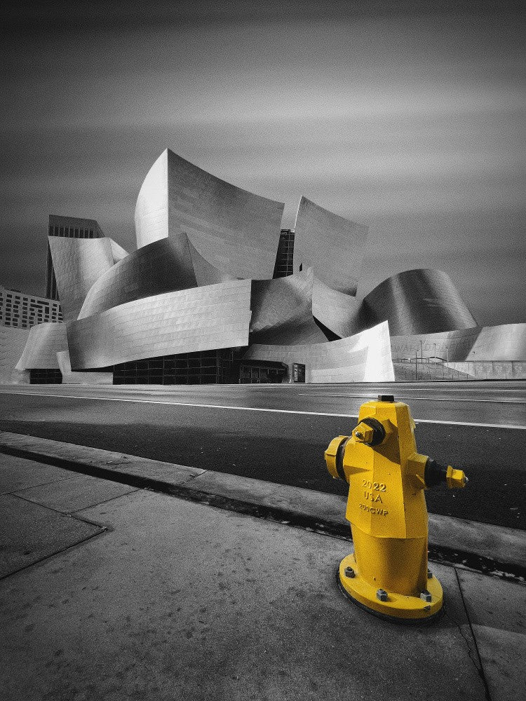 Walt Disney Concert Hall