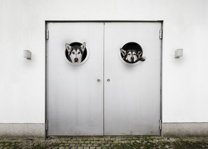 where is the way out?