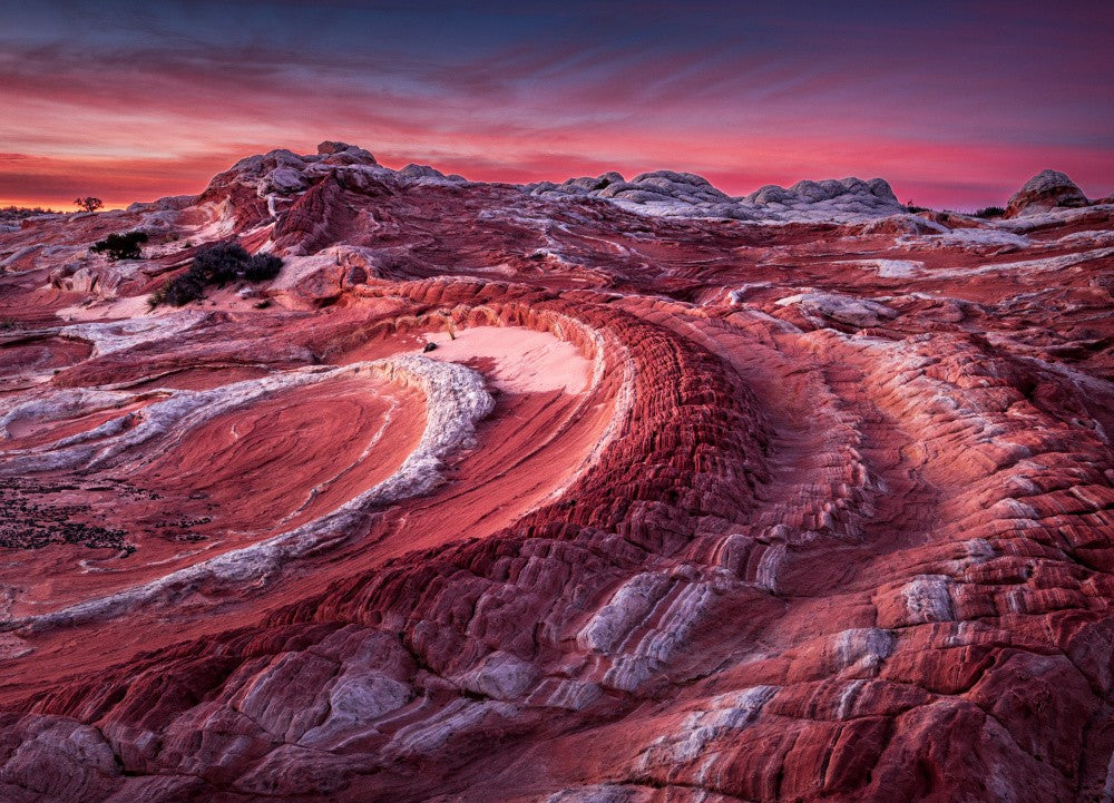 Dawn at White Pocket