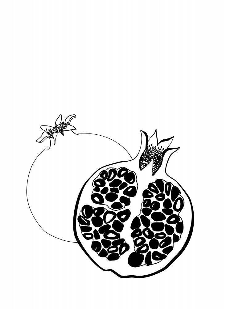 Line art pomegranates