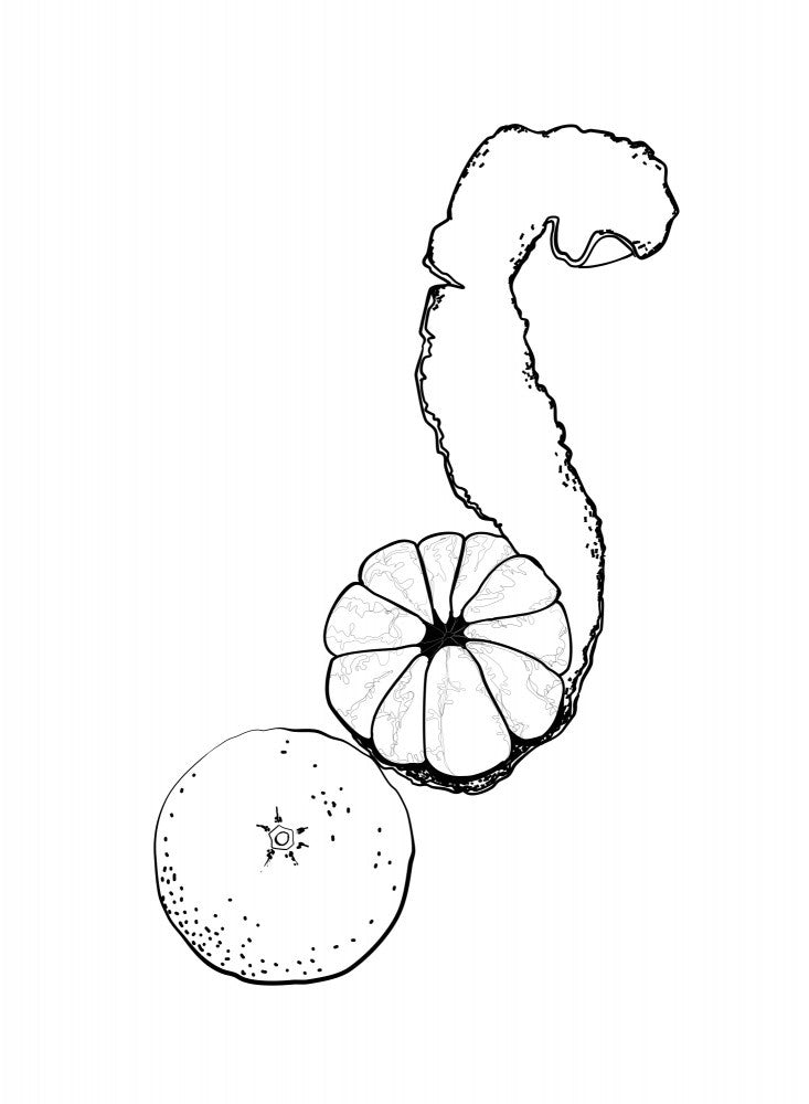 Strichzeichnung Mandarine