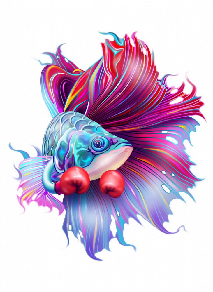 FIGHTHING FISH
