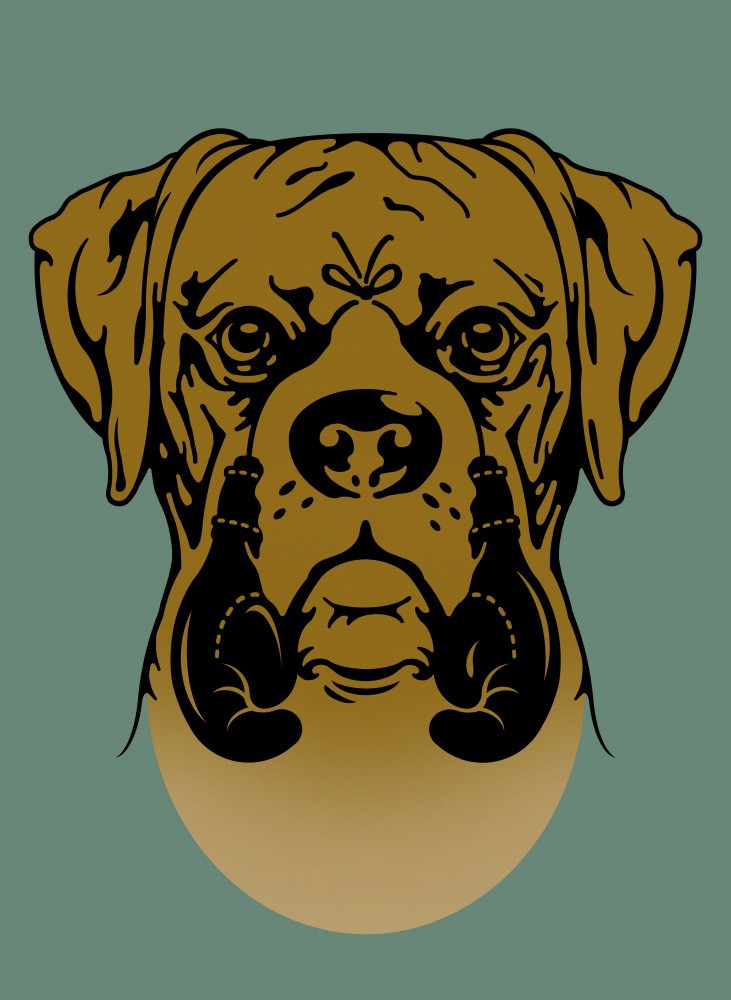 BOXER