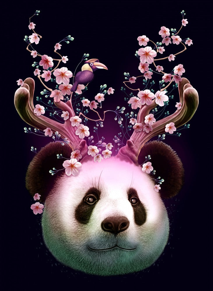 Panda Hörner hoch