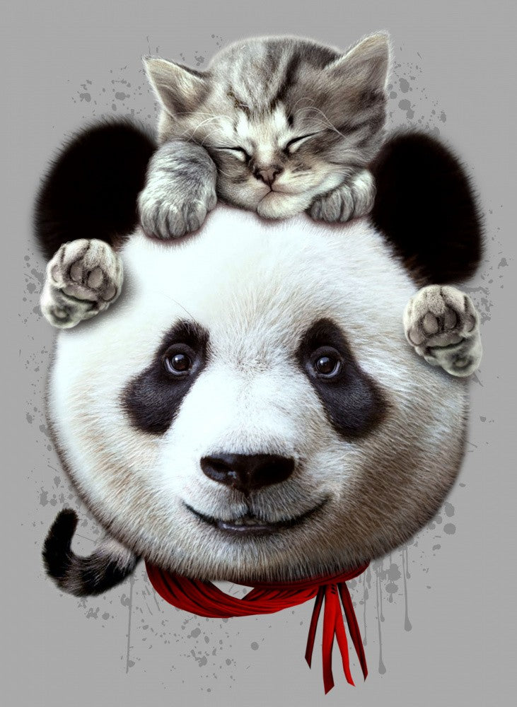 Katze auf Pandabär