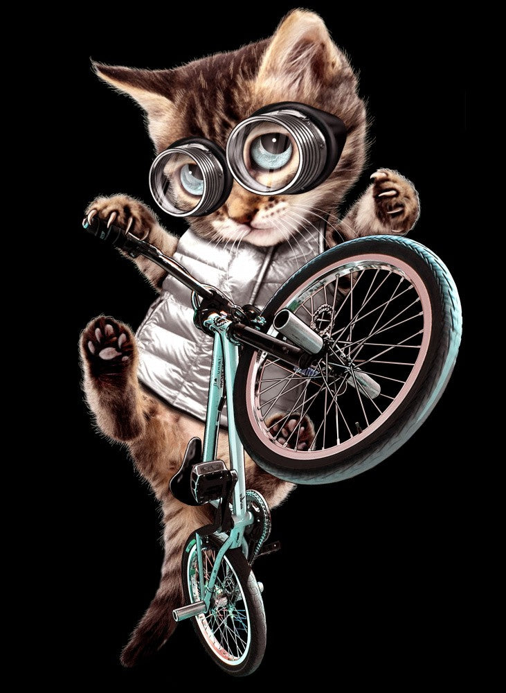 bmx cat