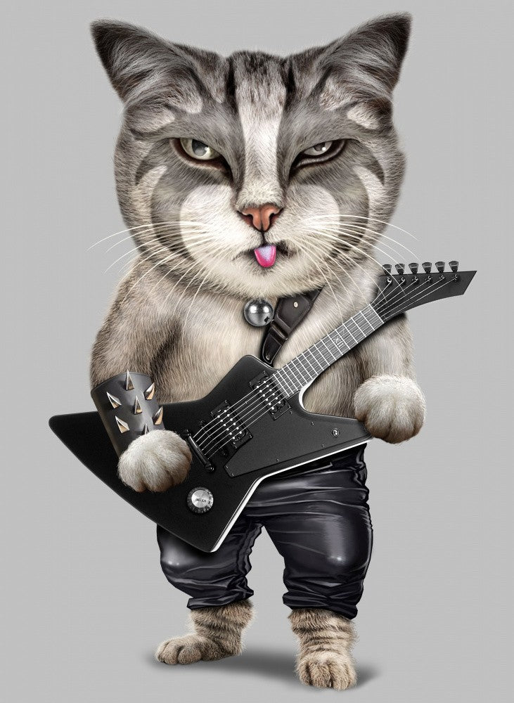 Heavy Metal Katze