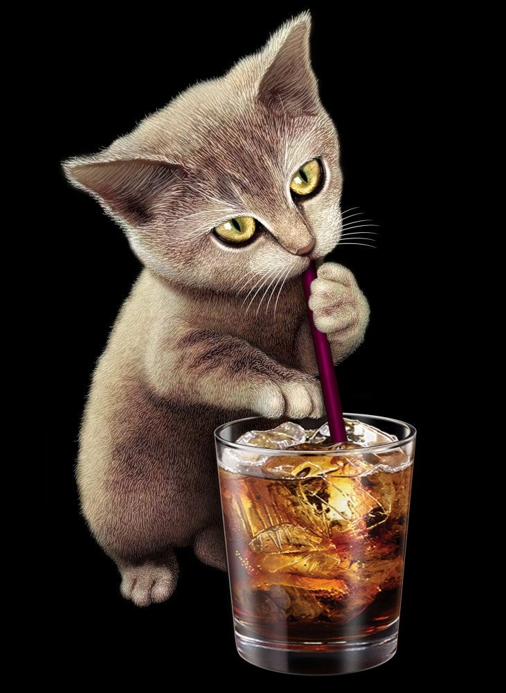 Katze und Softdrink