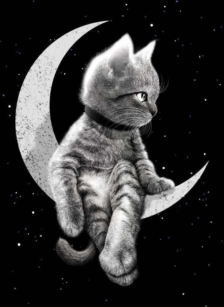 dreamer2023