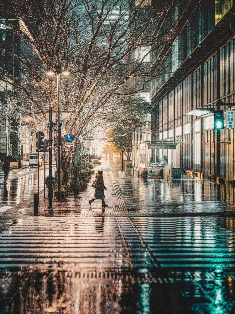 Tokyo Winter Illuminations