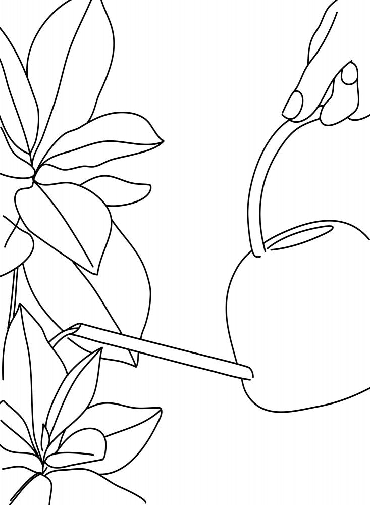 The watering can