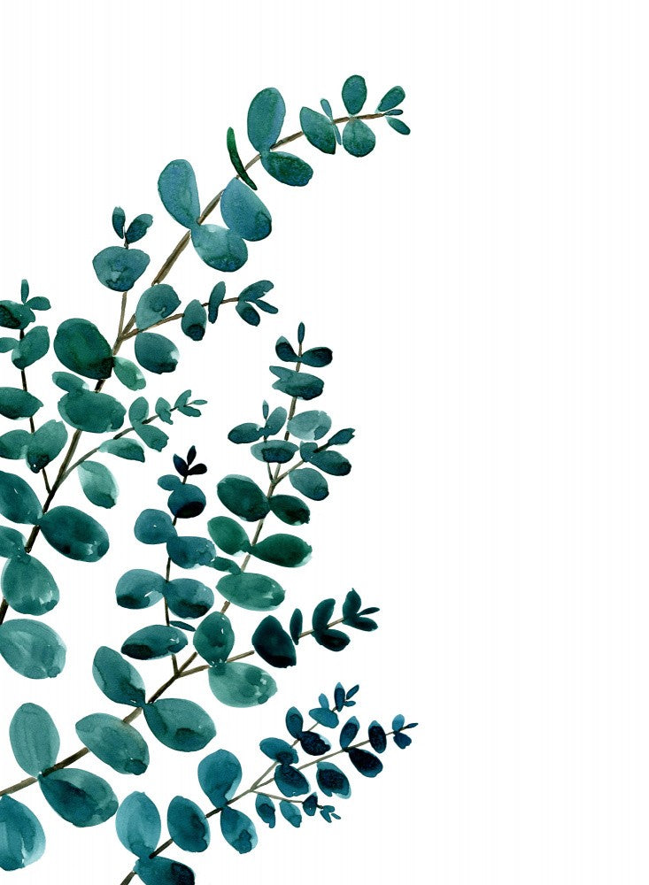 Teal watercolor eucalyptus II