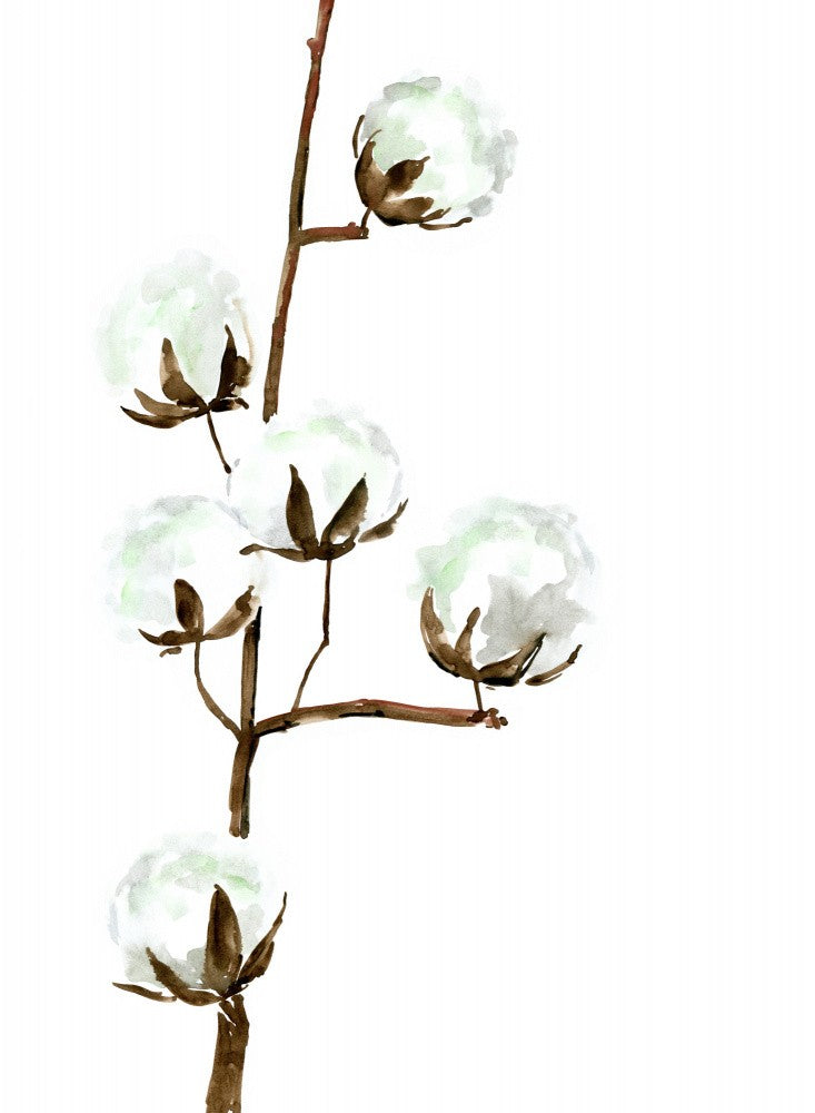 Aquarell-Baumwollzweig I