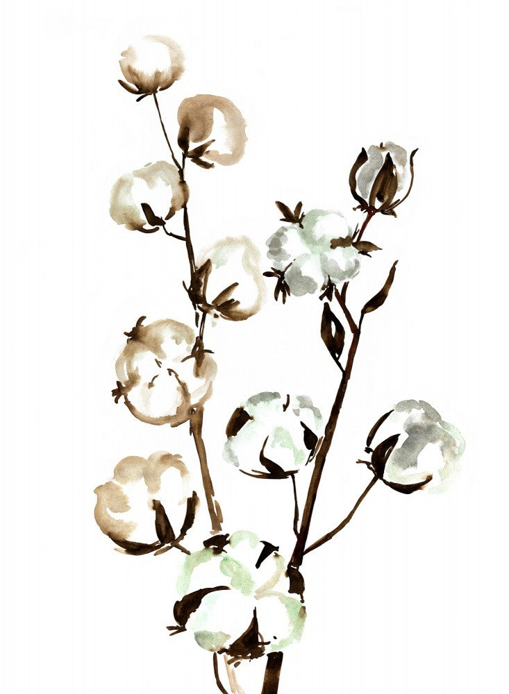 Watercolor cotton branch II