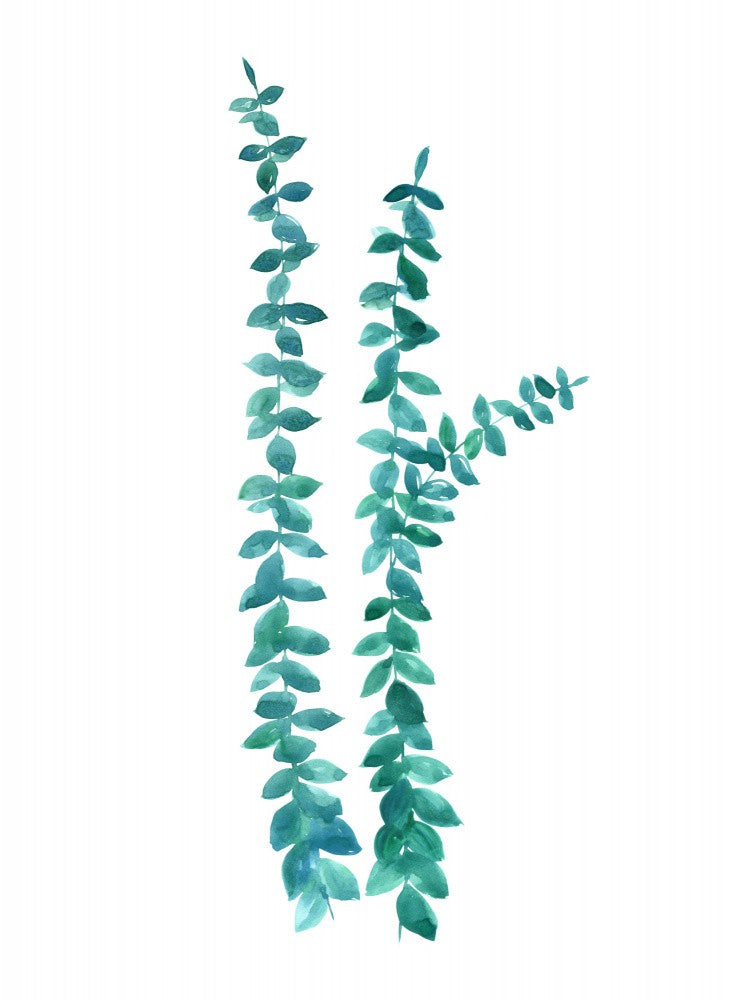 Watercolor eucalyptus branches in teal