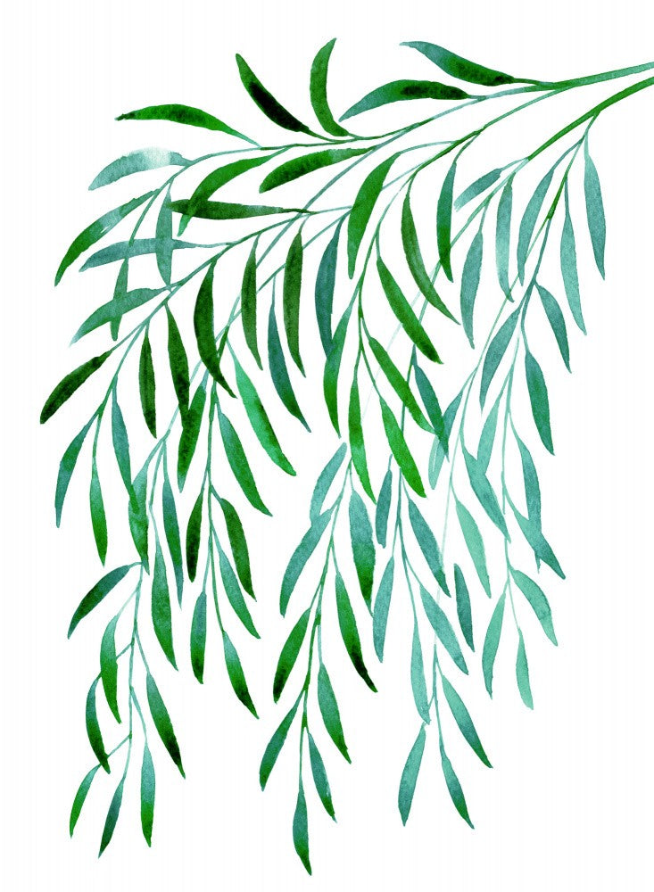 Cascading watercolor eucalyptus