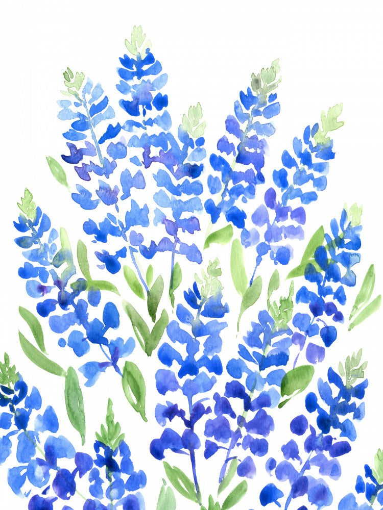 Watercolor Texas bluebonnets