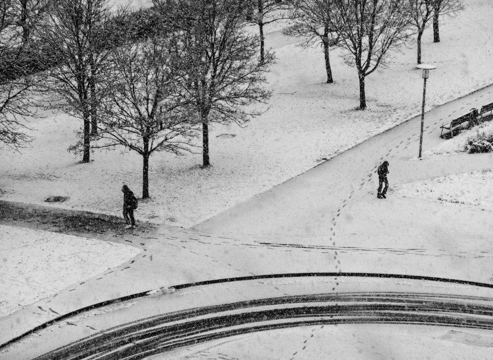 Under the snowfall