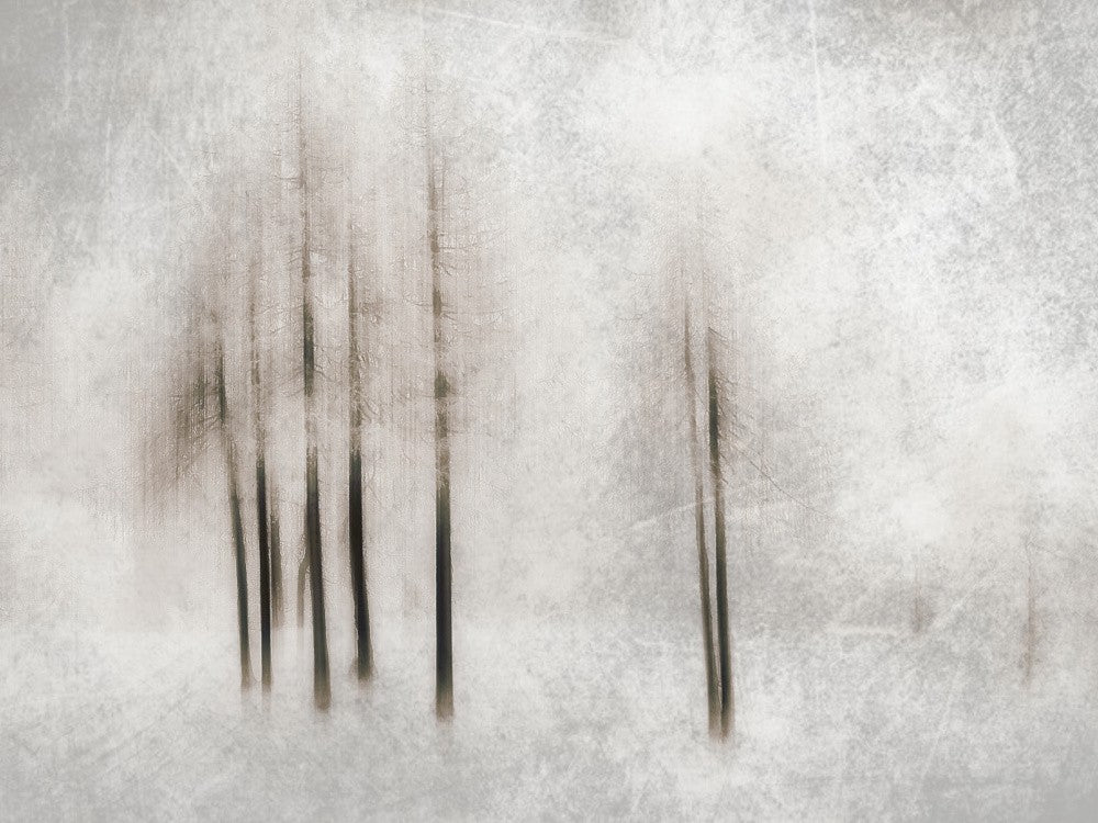 Winter ghosts