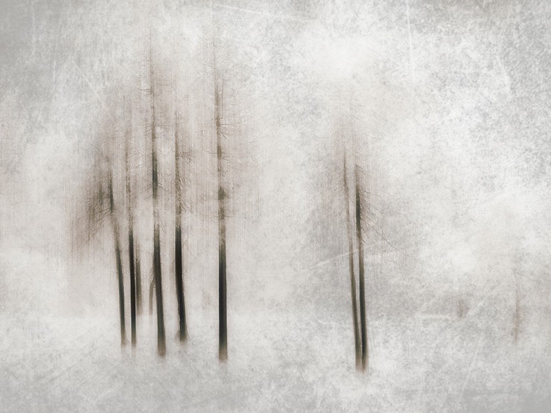 Winter ghosts